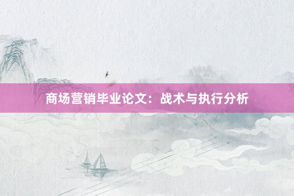 商场营销毕业论文：战术与执行分析