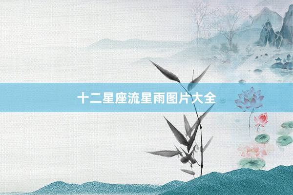 十二星座流星雨图片大全